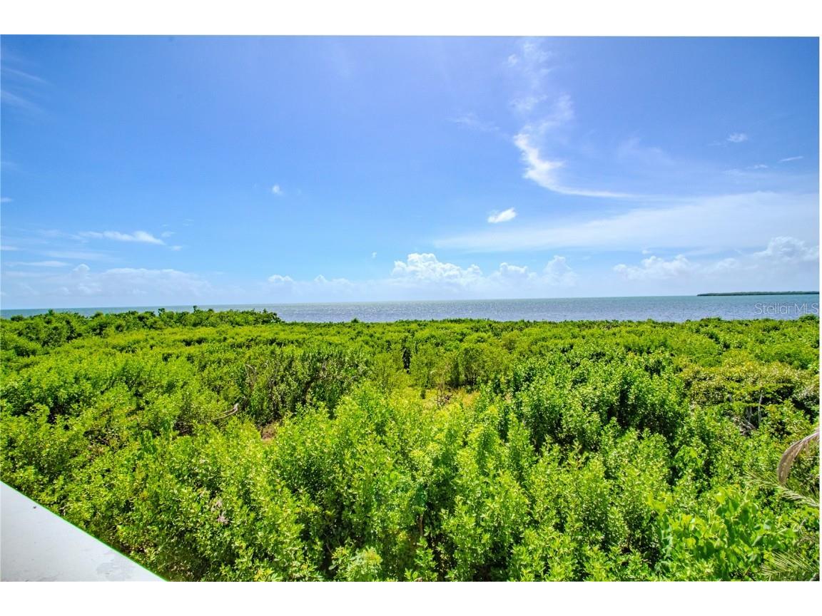 500 Burton Drive #4204 Tavernier FL 33070 O6349943 image38