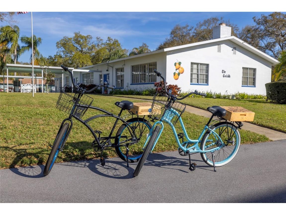 500 Glennes Lane #202 Dunedin FL 34698 TB8454620 image28