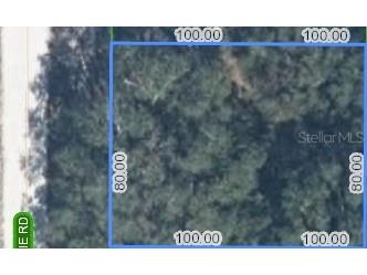 500 N Barrie Road Avon Park FL 33825 O6342608 image8