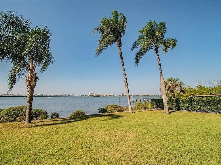 500 N Osceola Avenue #403 Clearwater FL 33755 TB8457142 image44