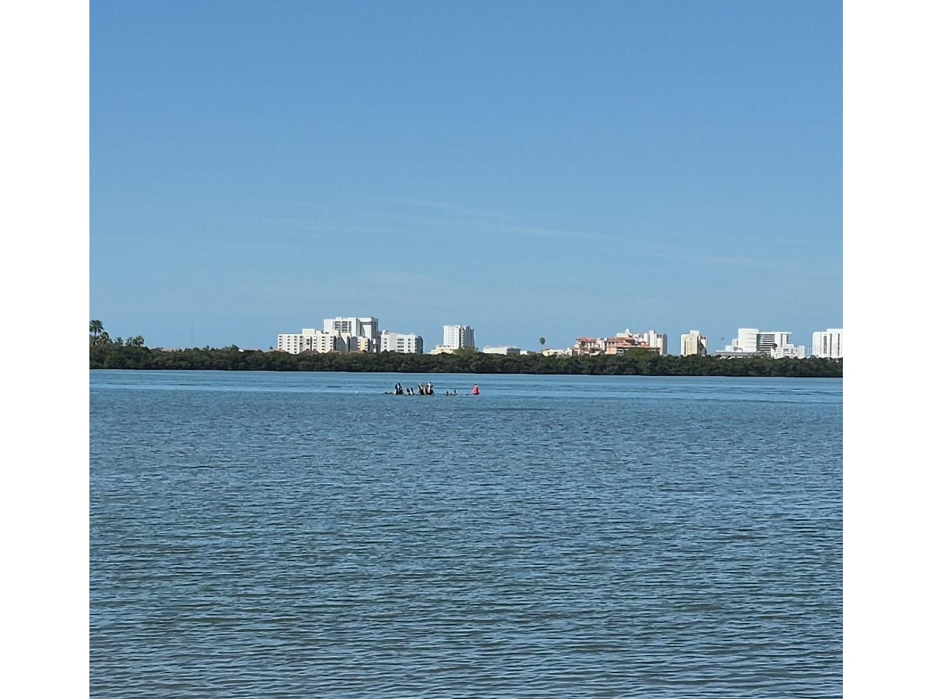 500 N Osceola Avenue #510 Clearwater FL 33755 - GULF OF AMERICA TB8485609 image11