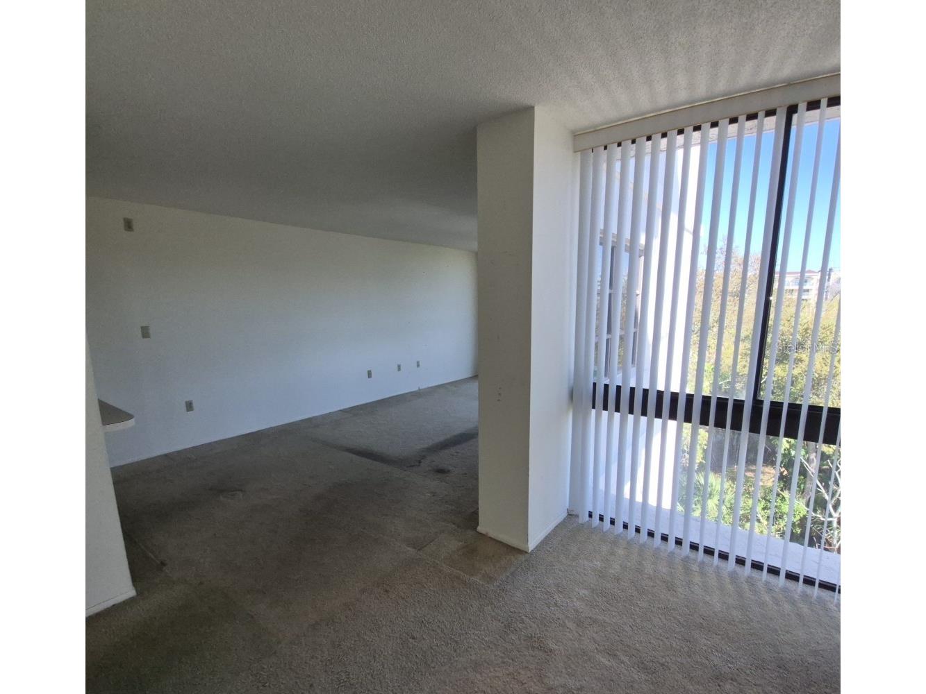 500 N Osceola Avenue #510 Clearwater FL 33755 - GULF OF AMERICA TB8485609 image22