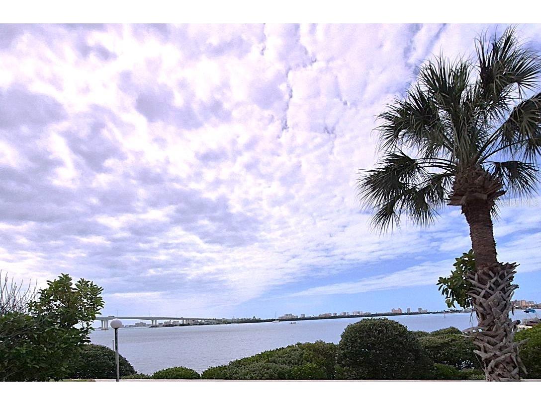 500 N Osceola Avenue #510 Clearwater FL 33755 - GULF OF AMERICA TB8485609 image8