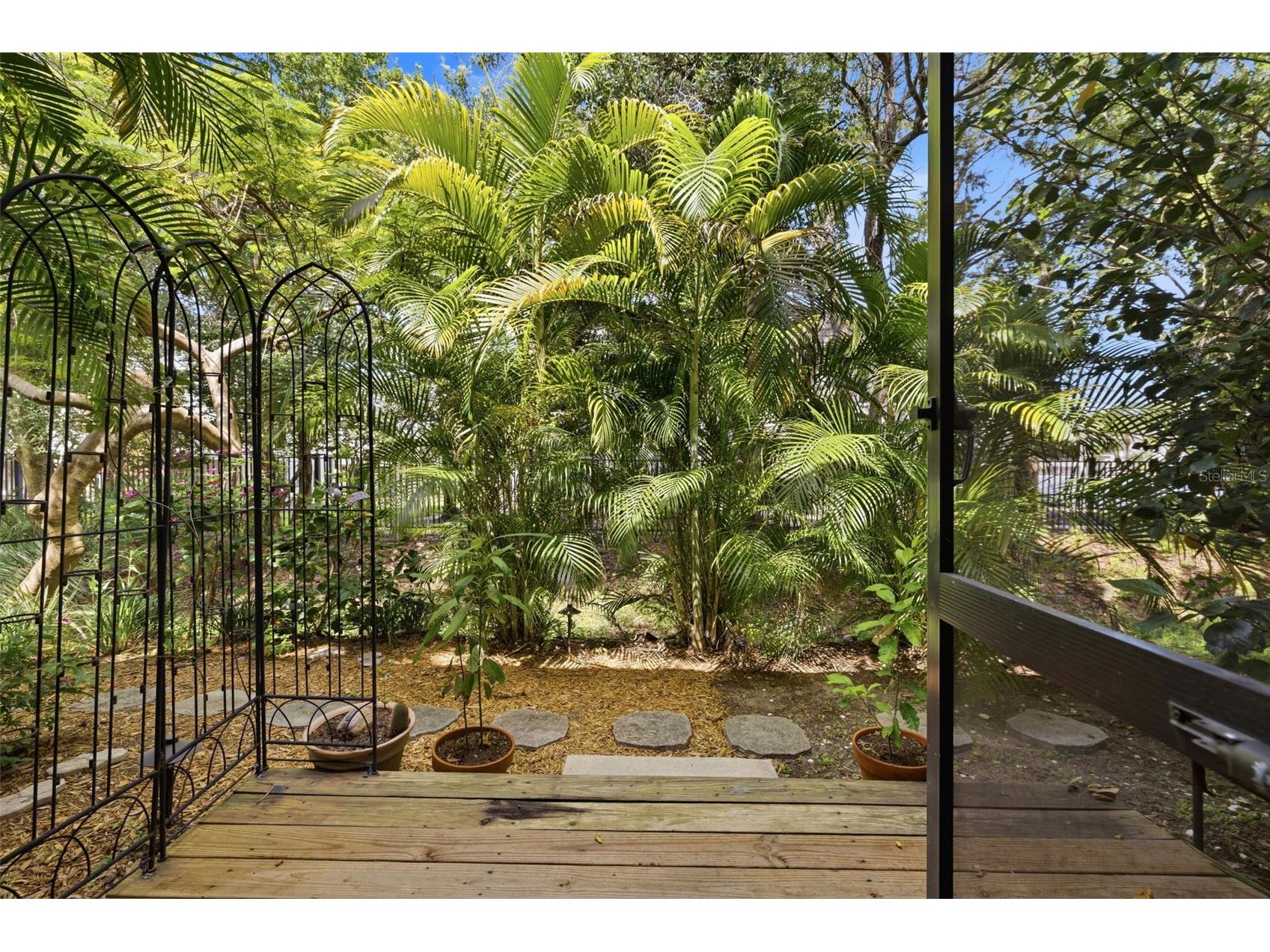 500 New York Avenue #25 Dunedin FL 34698 TB8516614 image21