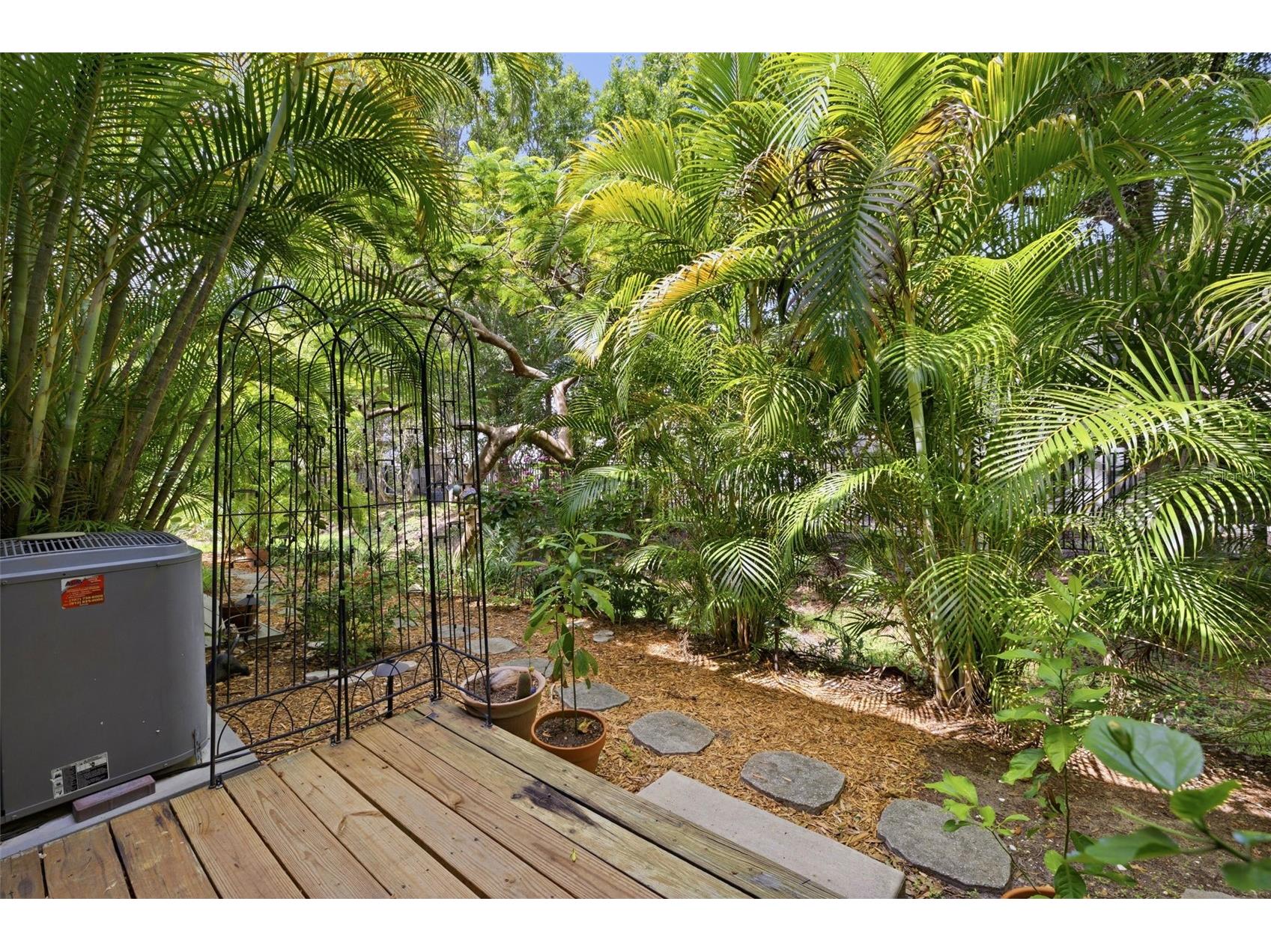 500 New York Avenue #25 Dunedin FL 34698 TB8516614 image22