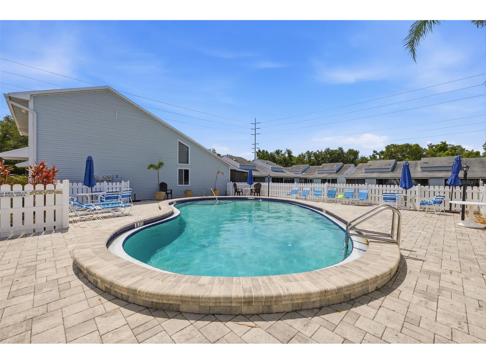 500 New York Avenue #25 Dunedin FL 34698 TB8516614 image23