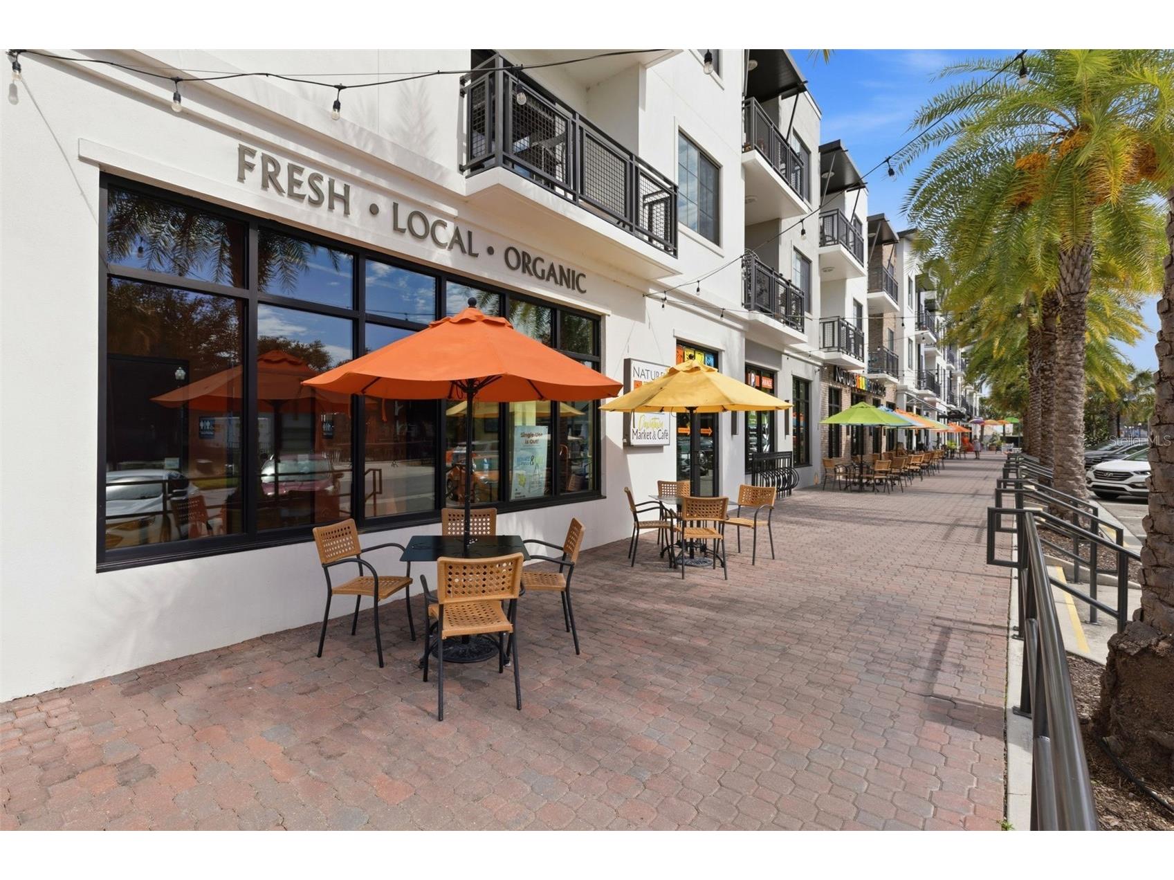 500 New York Avenue #25 Dunedin FL 34698 TB8516614 image30