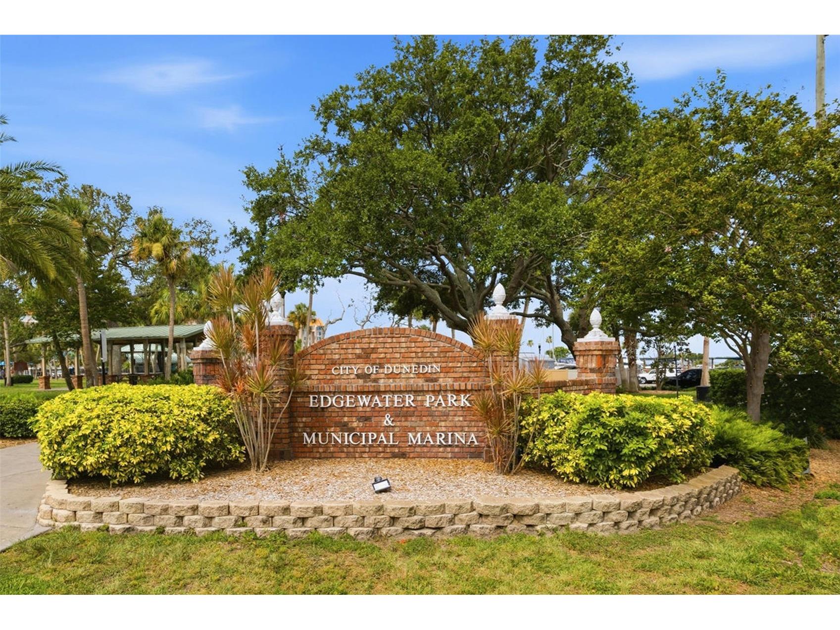 500 New York Avenue #25 Dunedin FL 34698 TB8516614 image33