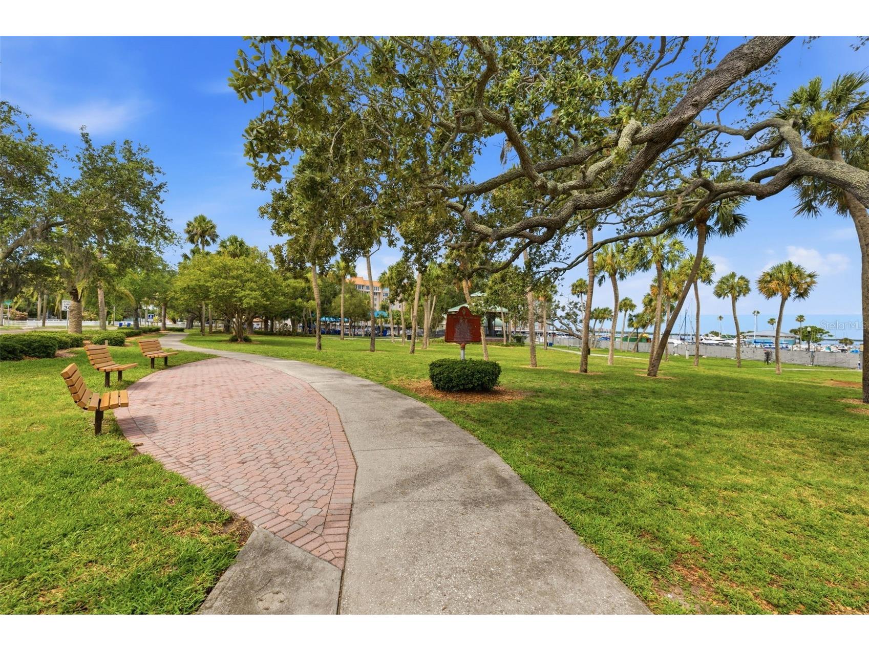 500 New York Avenue #25 Dunedin FL 34698 TB8516614 image34