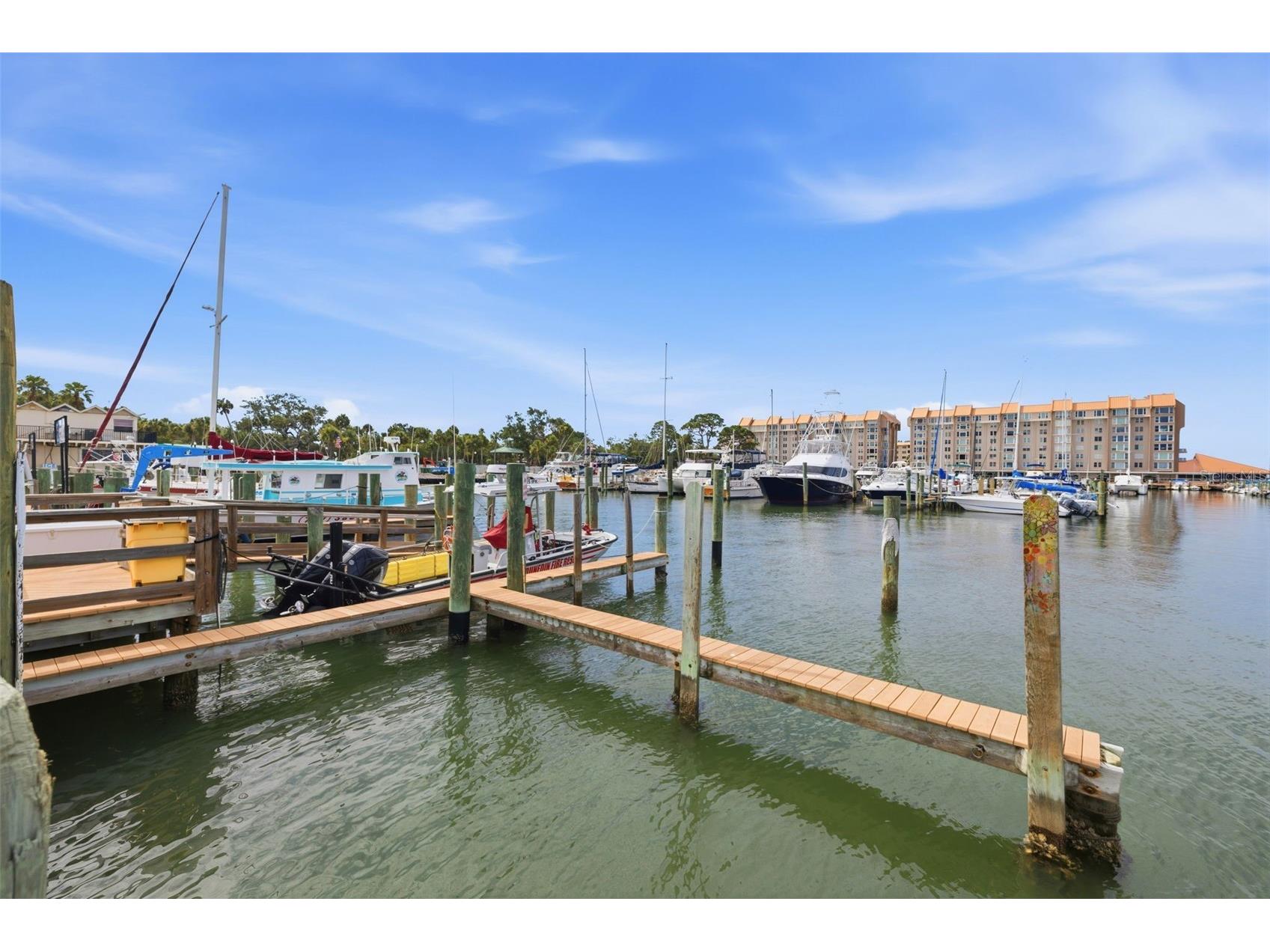 500 New York Avenue #25 Dunedin FL 34698 TB8516614 image35