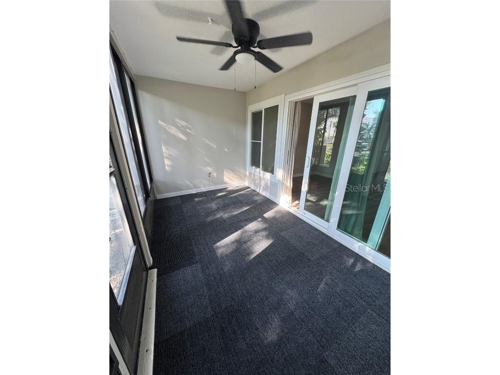 500 New York Avenue #29 Dunedin FL 34698 TB8431415 image16