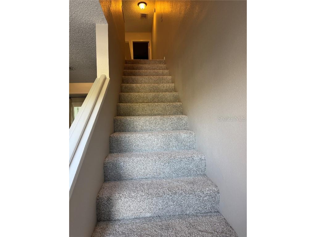 500 New York Avenue #29 Dunedin FL 34698 TB8431415 image21