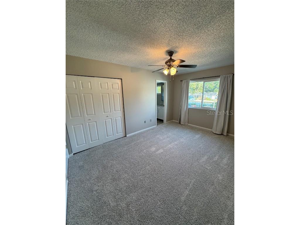 500 New York Avenue #29 Dunedin FL 34698 TB8431415 image22