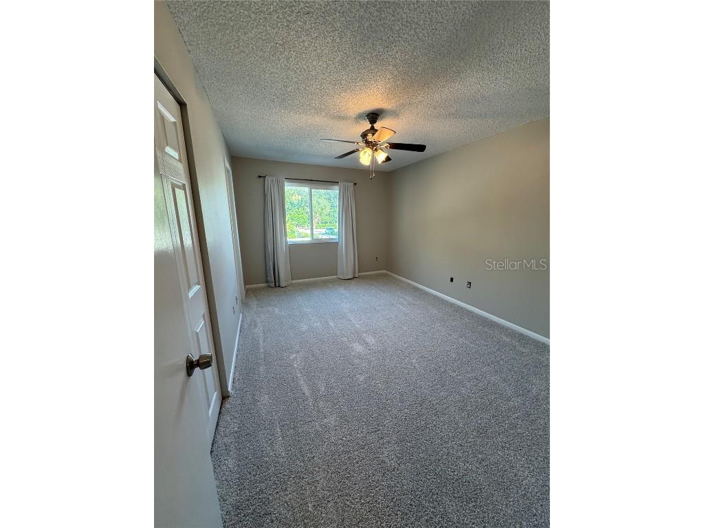 500 New York Avenue #29 Dunedin FL 34698 TB8431415 image23
