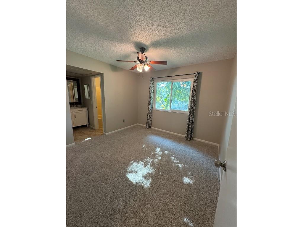 500 New York Avenue #29 Dunedin FL 34698 TB8431415 image24