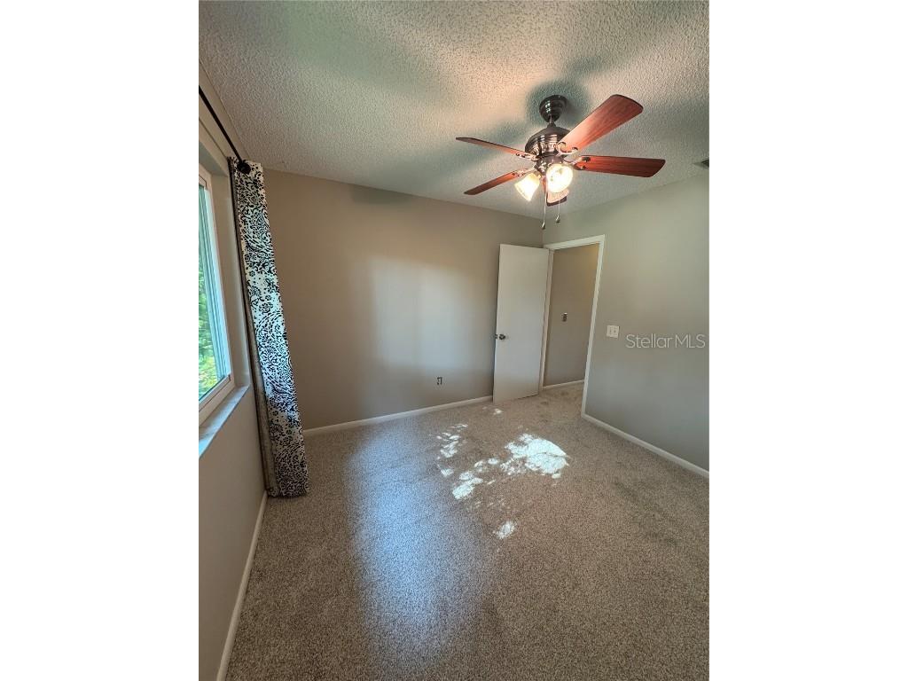 500 New York Avenue #29 Dunedin FL 34698 TB8431415 image28