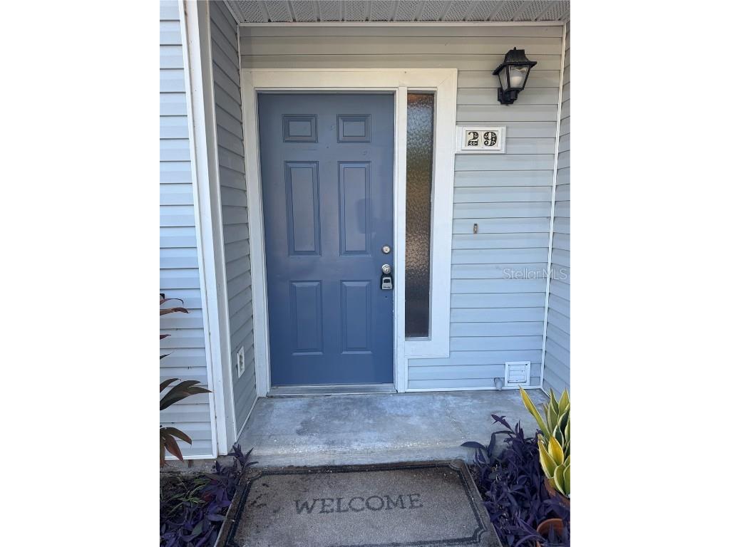 500 New York Avenue #29 Dunedin FL 34698 TB8431415 image3