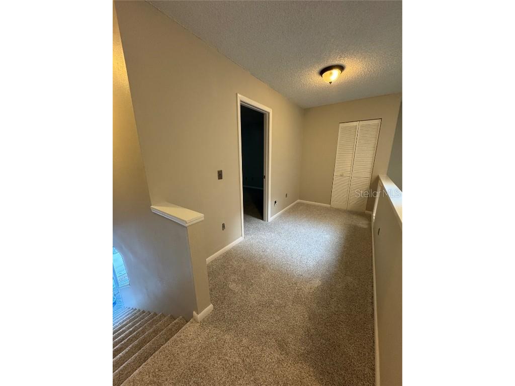 500 New York Avenue #29 Dunedin FL 34698 TB8431415 image33