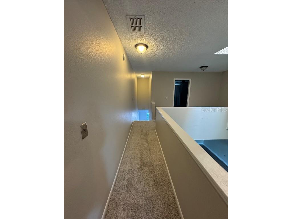 500 New York Avenue #29 Dunedin FL 34698 TB8431415 image37