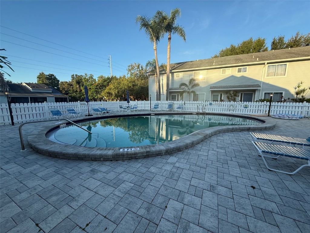 500 New York Avenue #29 Dunedin FL 34698 TB8431415 image4