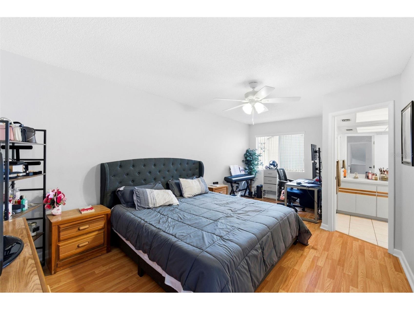 500 New York Avenue #34 Dunedin FL 34698 TB8482116 image33