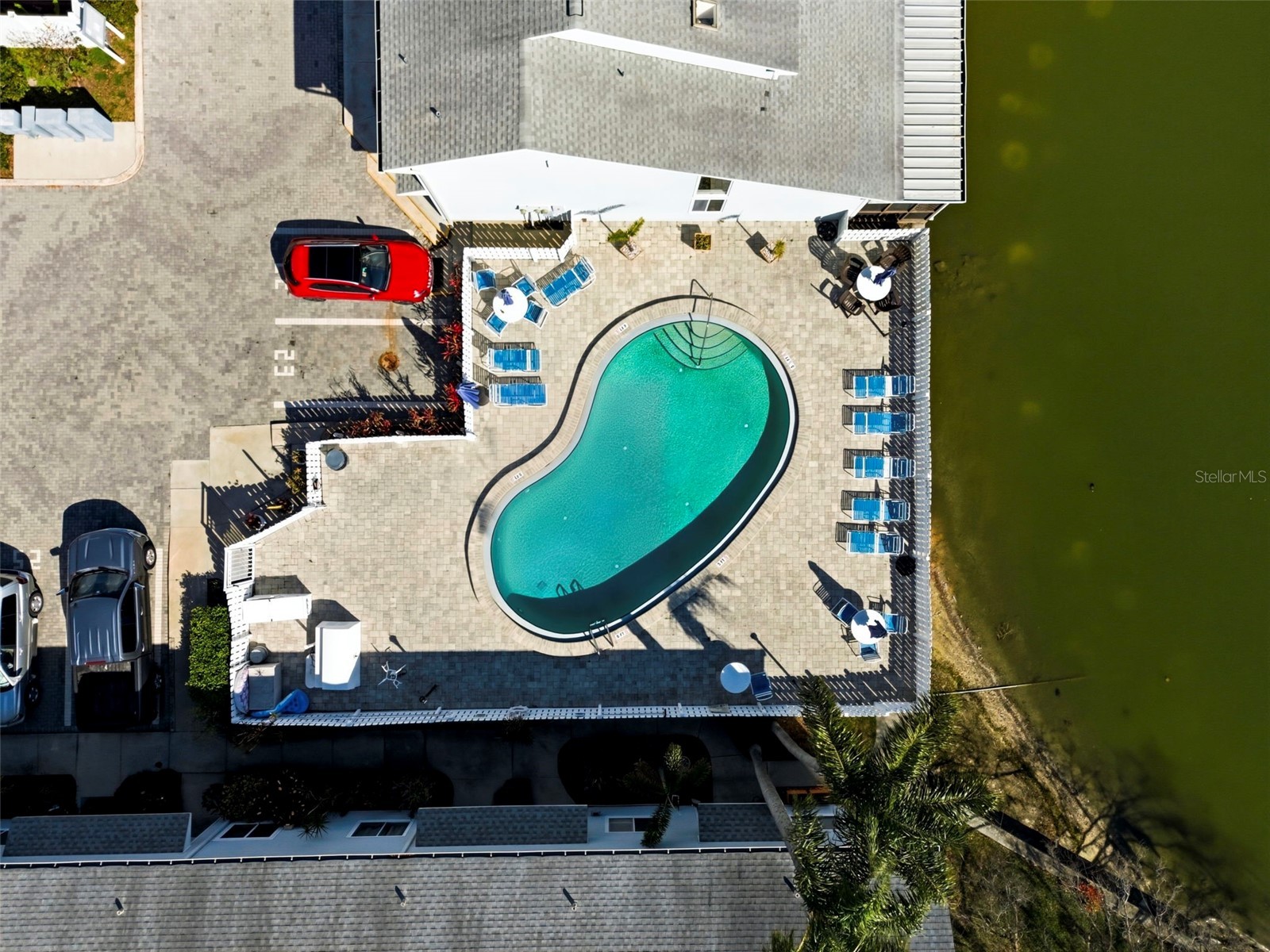 500 New York Avenue #34 Dunedin FL 34698 TB8482116 image42