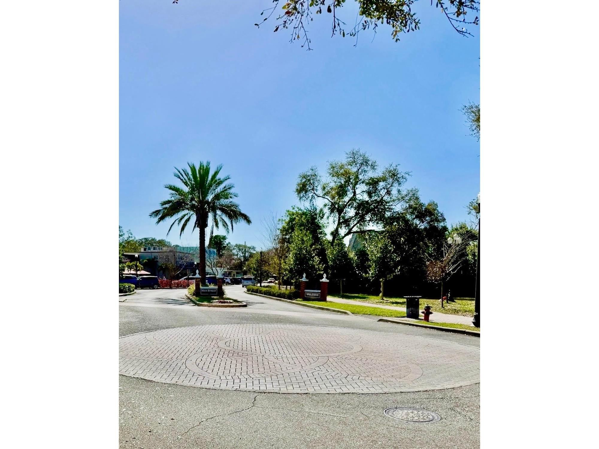 500 New York Avenue #34 Dunedin FL 34698 TB8482116 image49