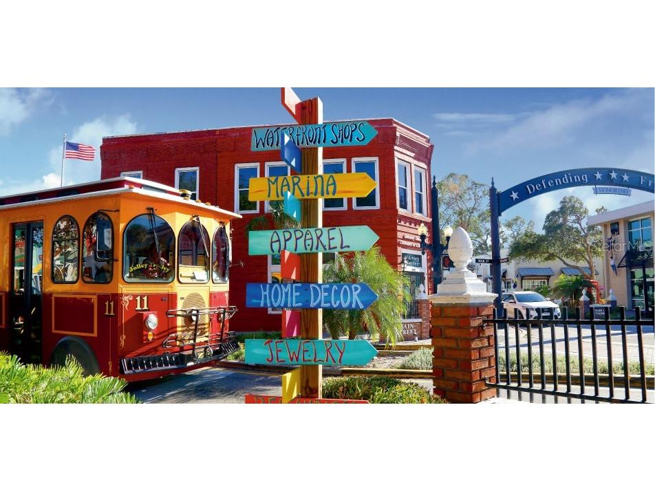 500 New York Avenue #34 Dunedin FL 34698 TB8482116 image51