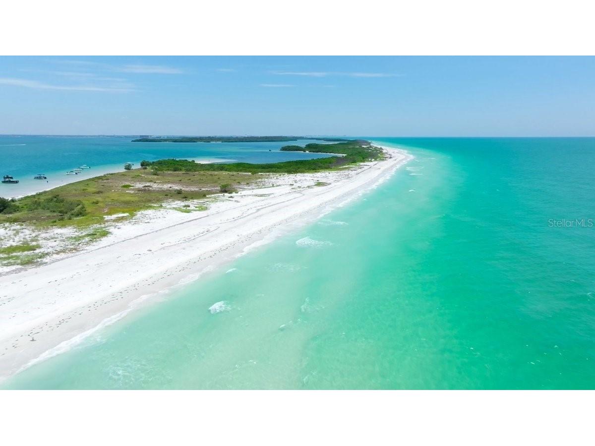 500 New York Avenue #34 Dunedin FL 34698 TB8482116 image52