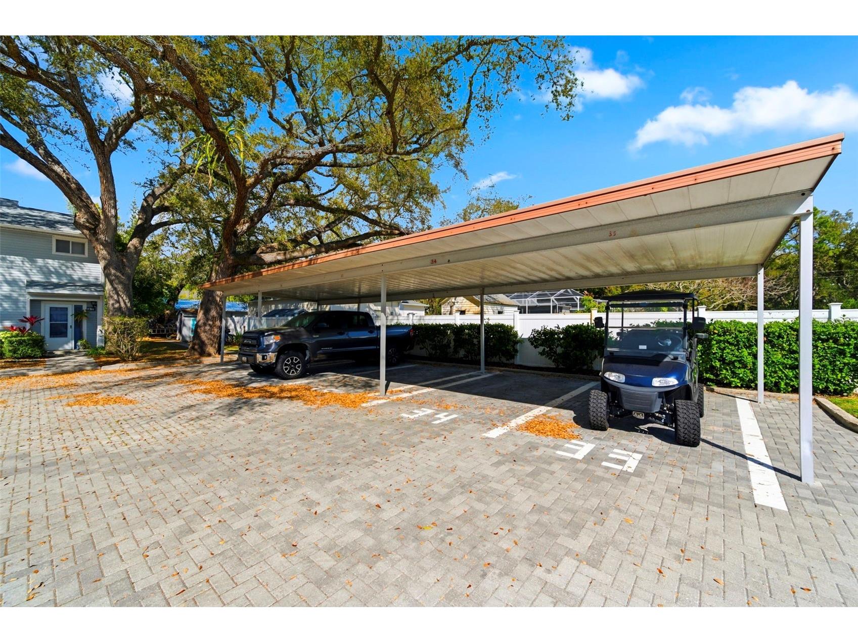 500 New York Avenue #34 Dunedin FL 34698 TB8482116 image6