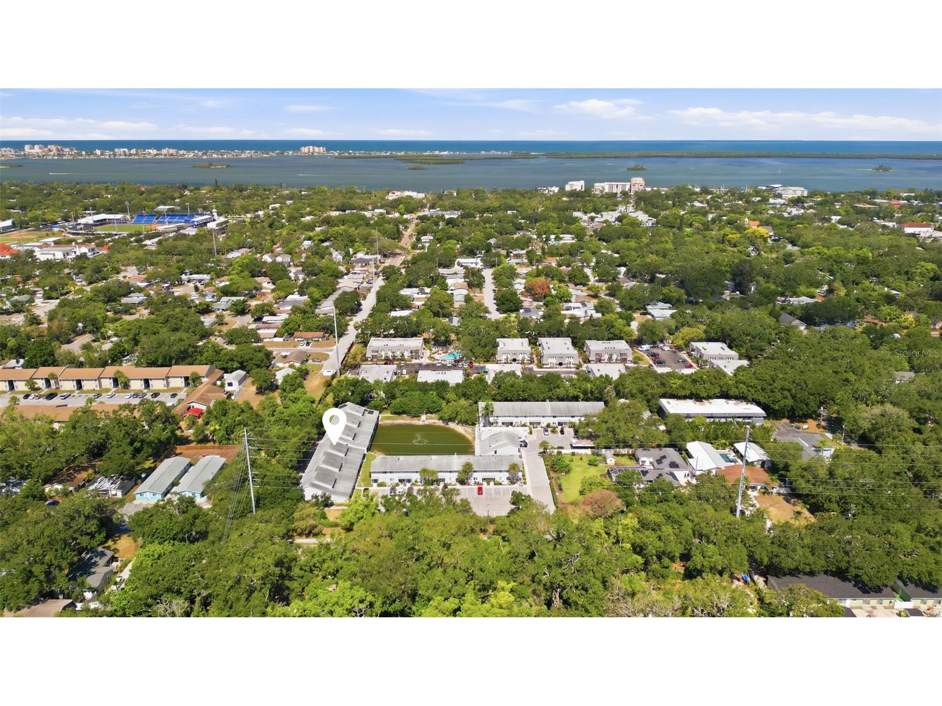 500 New York Avenue #7 Dunedin FL 34698 TB8522399 image27