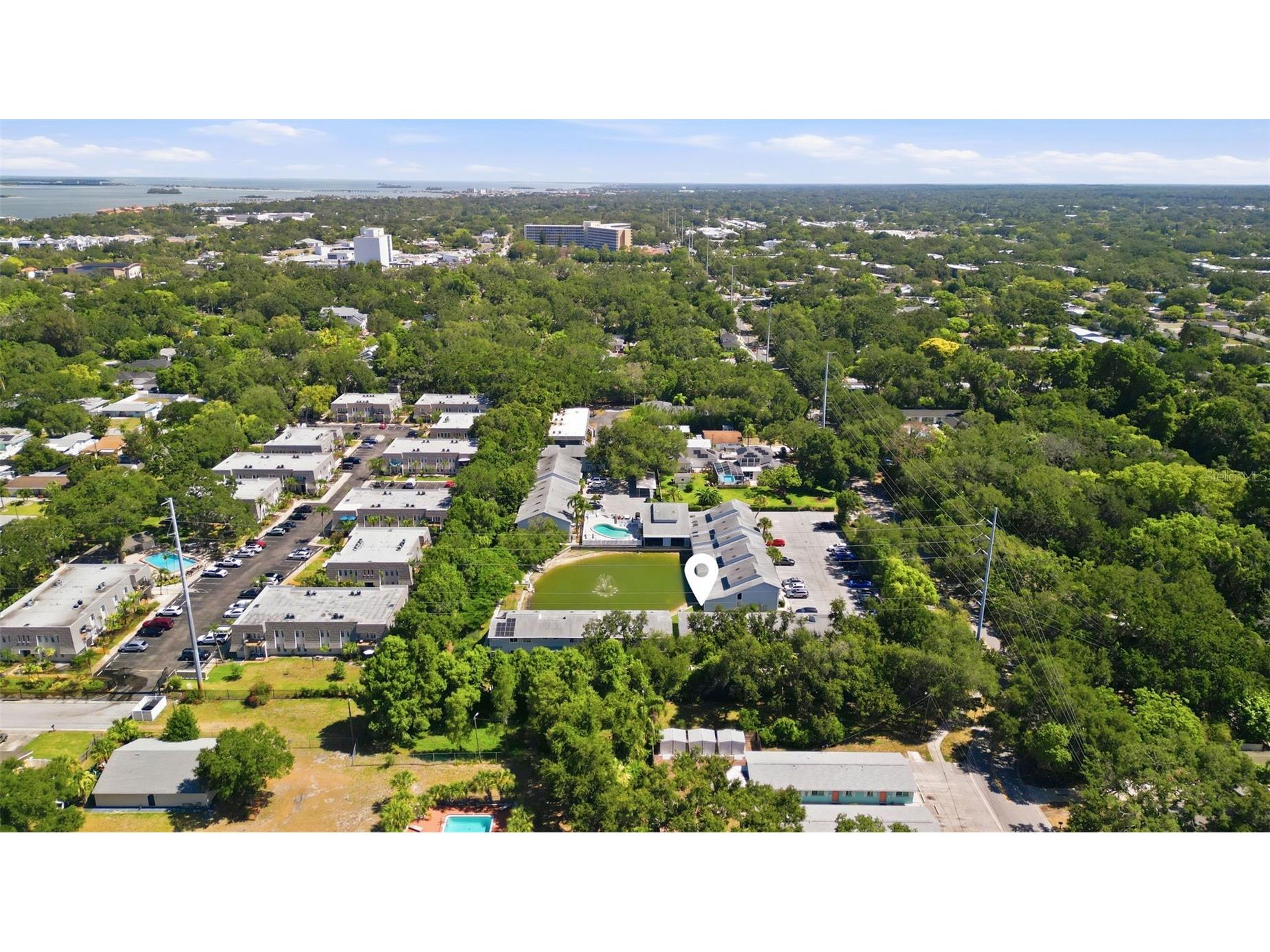 500 New York Avenue #7 Dunedin FL 34698 TB8522399 image28