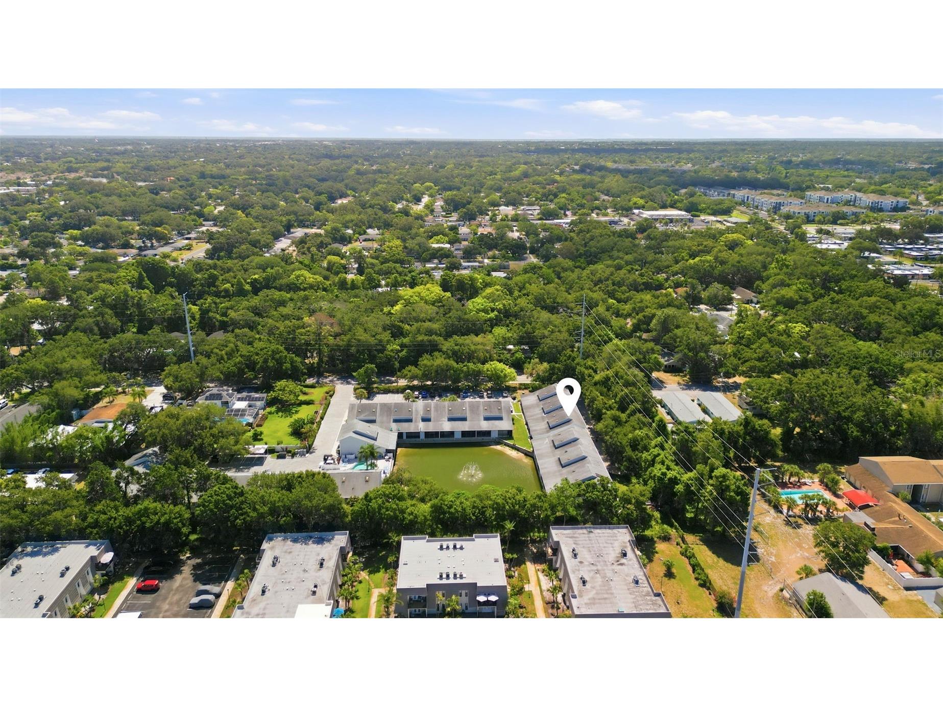 500 New York Avenue #7 Dunedin FL 34698 TB8522399 image30