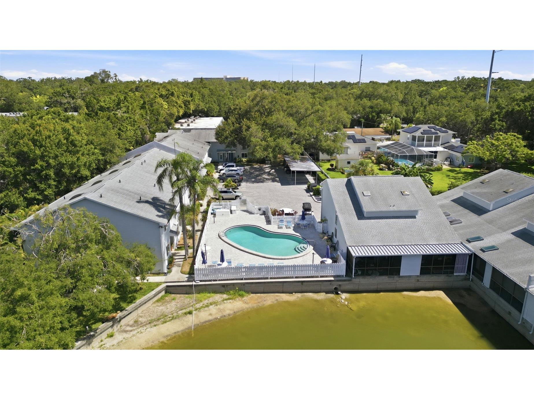 500 New York Avenue #7 Dunedin FL 34698 TB8522399 image34