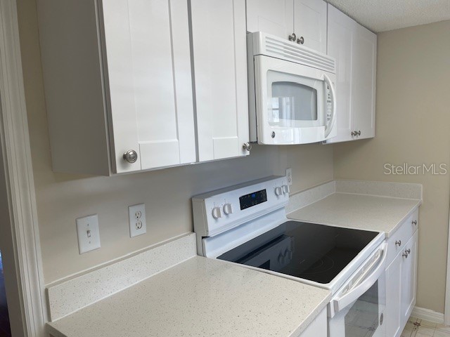 500 Newell Hill Road #108B Leesburg FL 34748 W7882615 image8