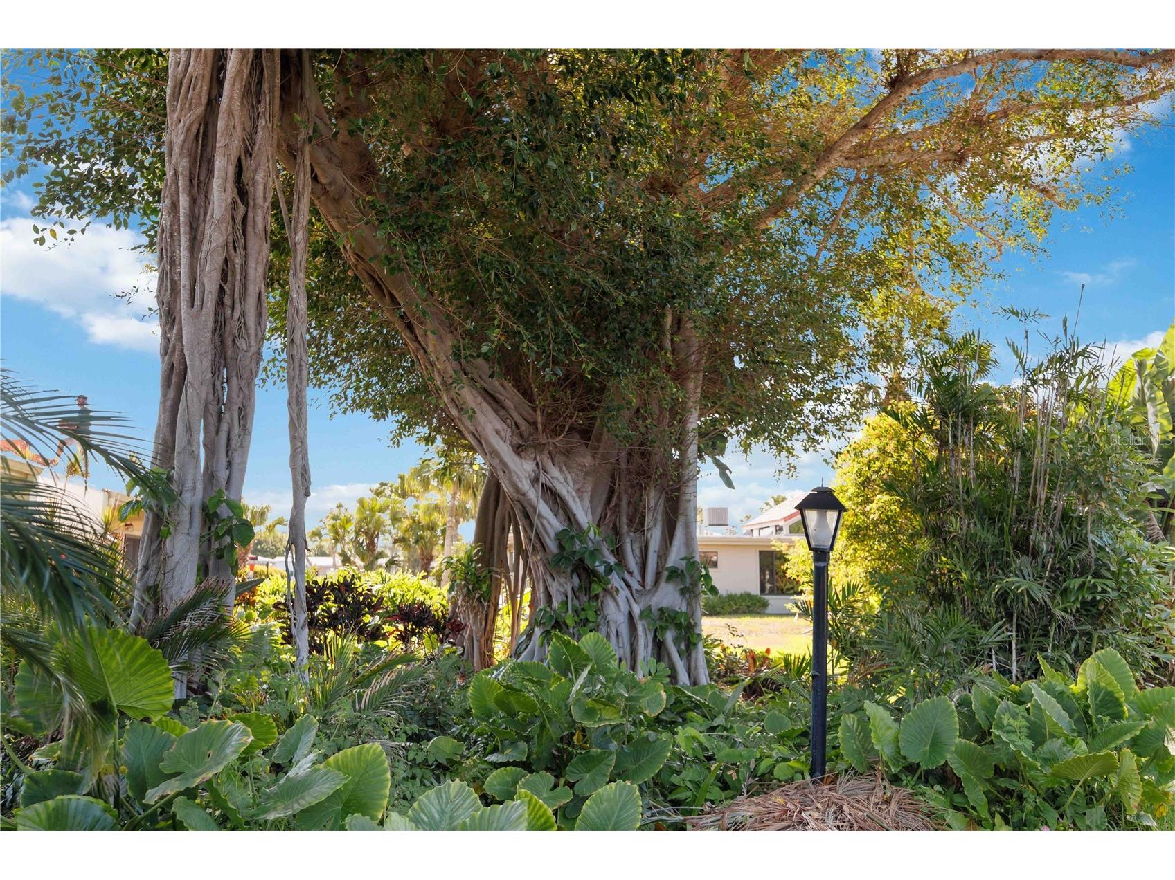 500 Park Boulevard S #22 Venice FL 34285 - GULF OF AMERICA N6144351 image24
