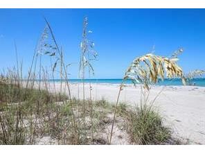 500 S Gulf Boulevard Placida FL 33946 - GULF OF AMERICA D6146019 image1