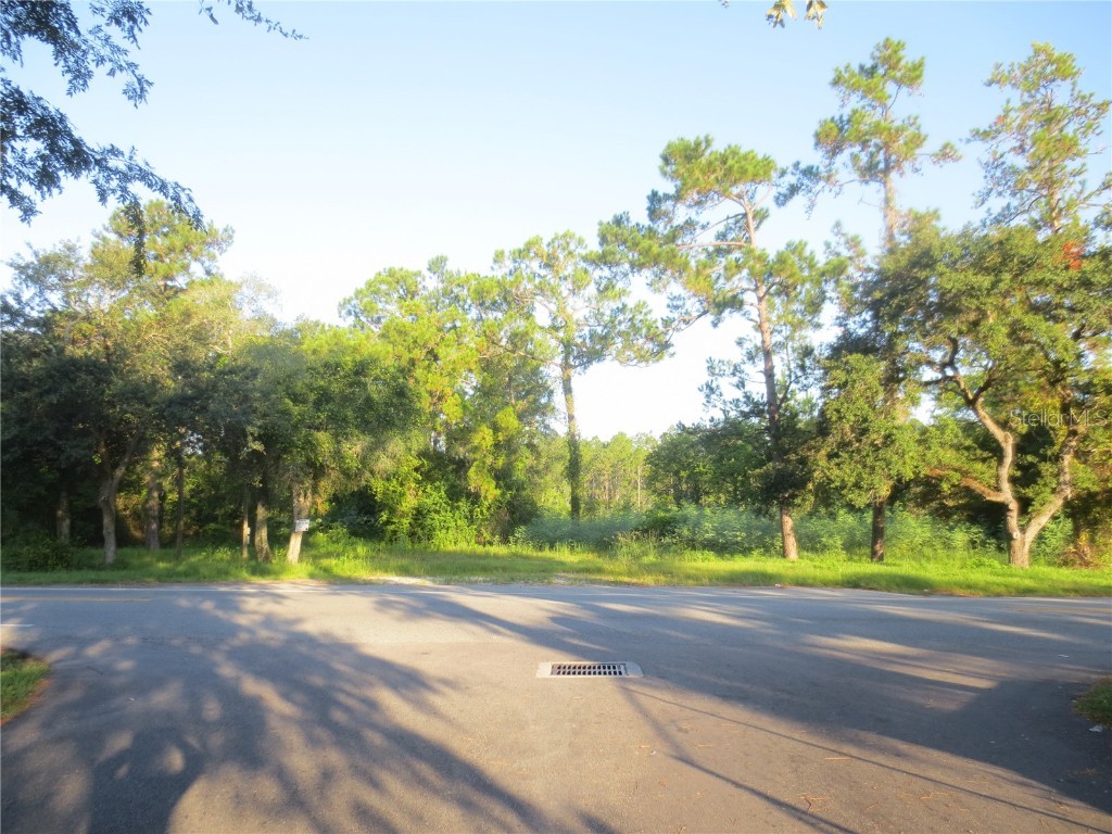 500 S Highway 314a Ocklawaha FL 32179 OM679088 image1