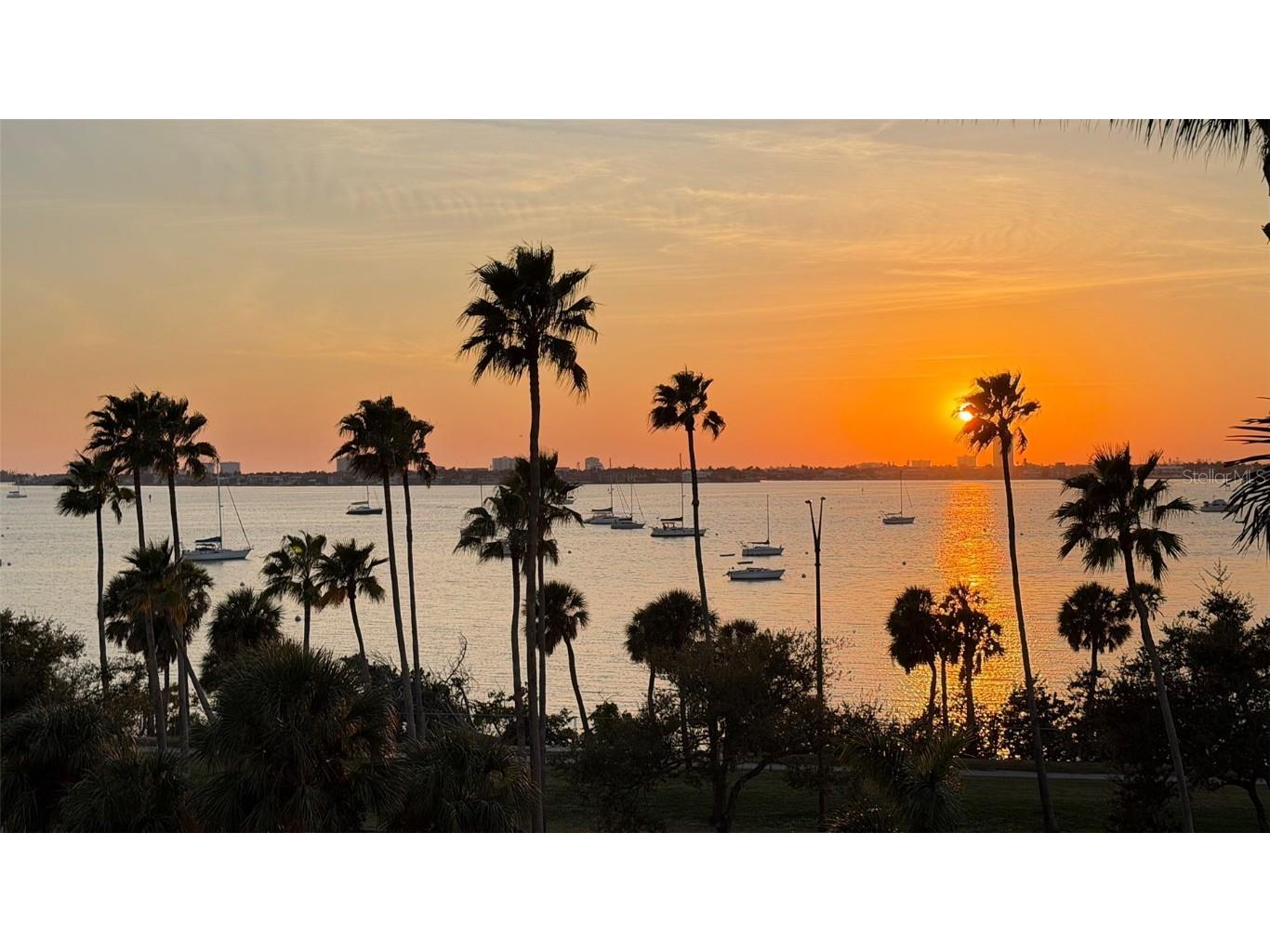 500 S Palm Avenue #31 Sarasota FL 34236 A4671352 image5