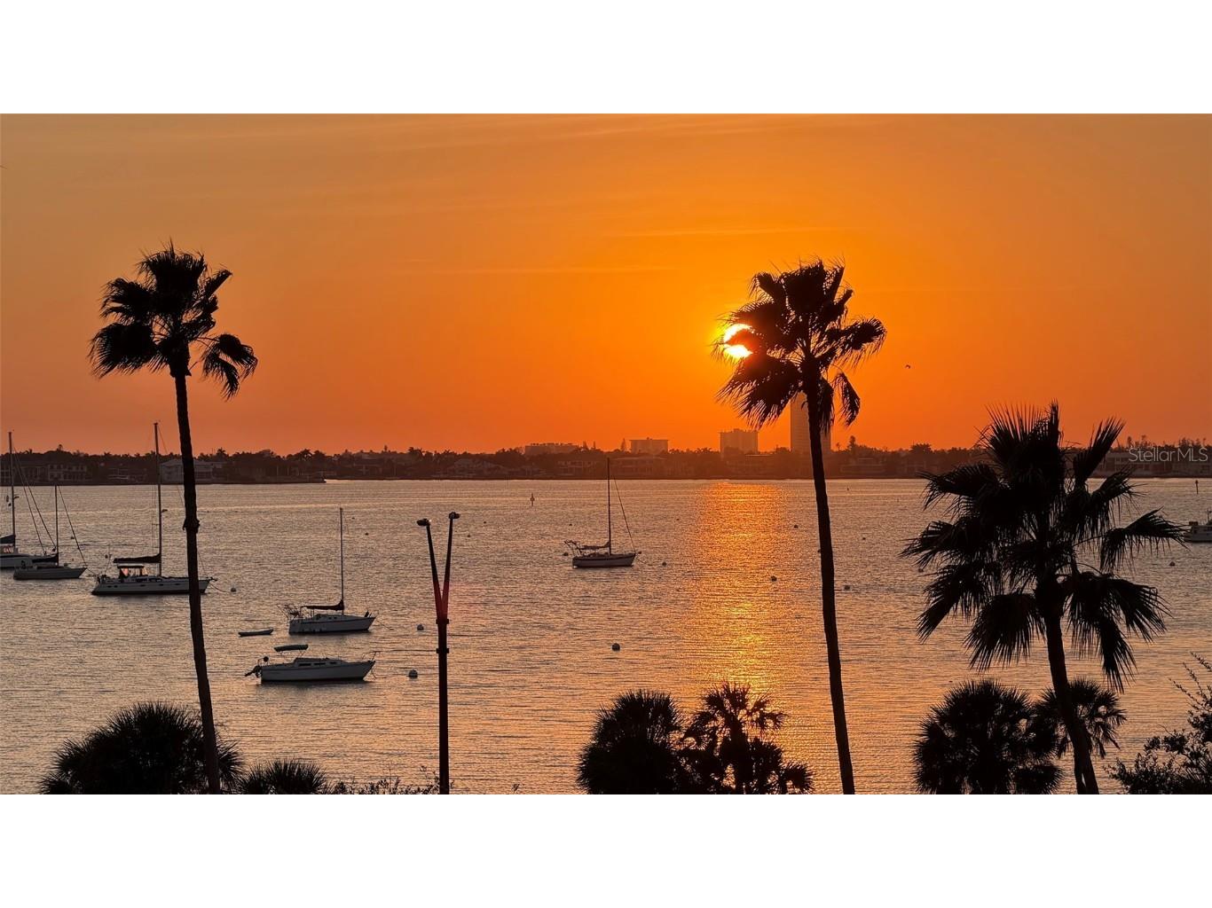 500 S Palm Avenue #31 Sarasota FL 34236 A4671352 image50