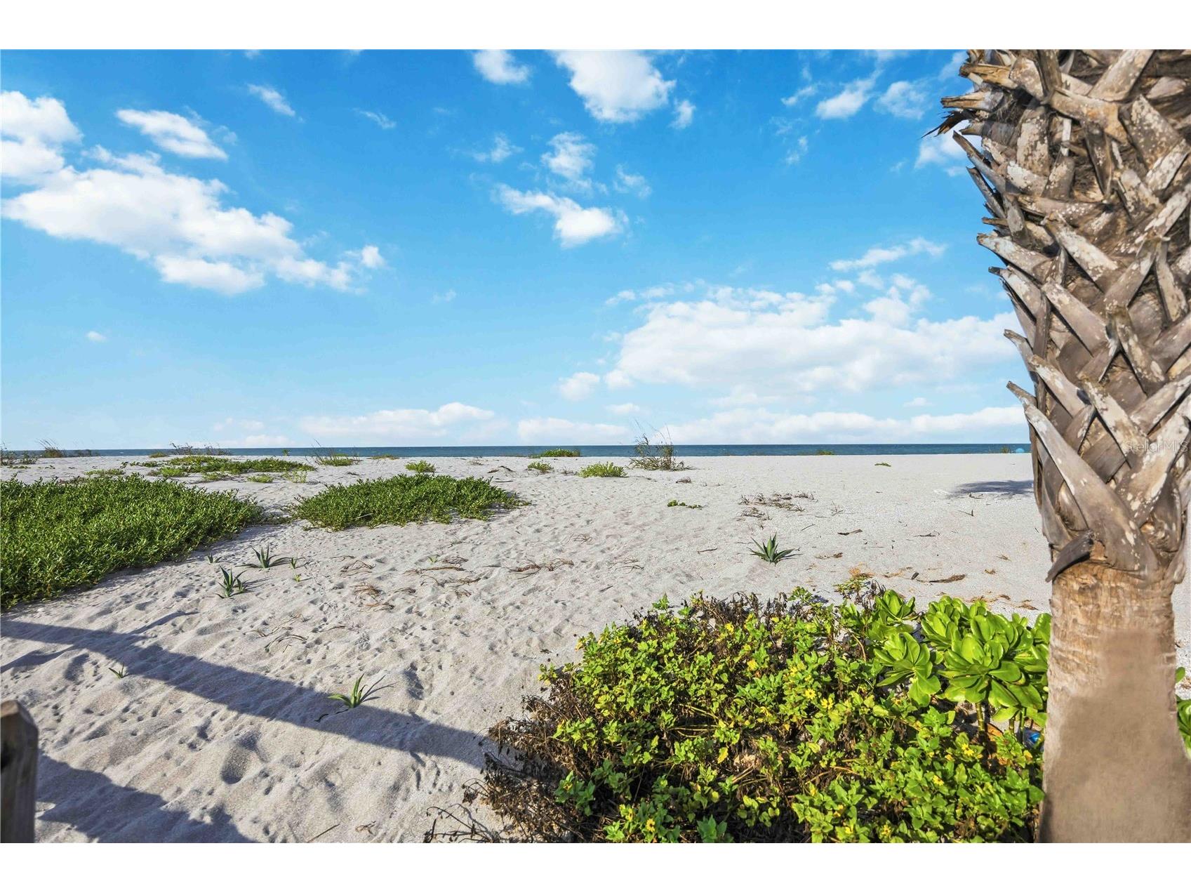 500 S Park #47 Venice FL 34285 A4678760 image38