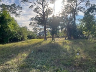 500 Serenade Terrace Lake Placid FL 33852 OK224966 image1