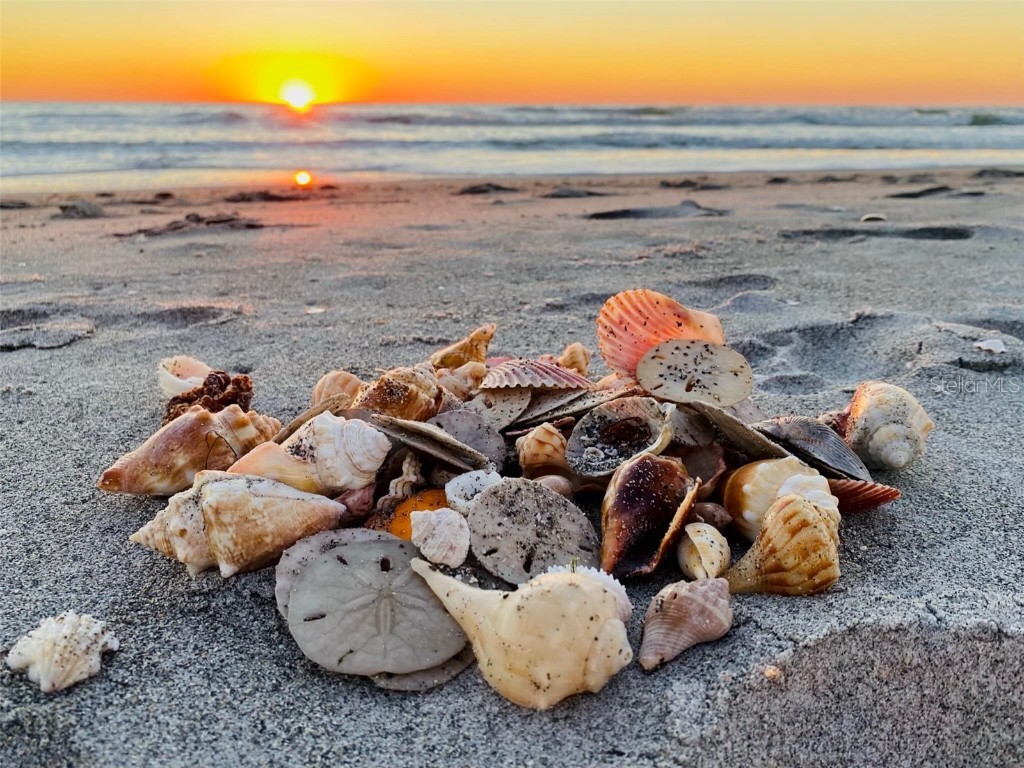 500 The Esplanade N #405 Venice FL 34285 - GULF OF MEXICO O6368130 image39