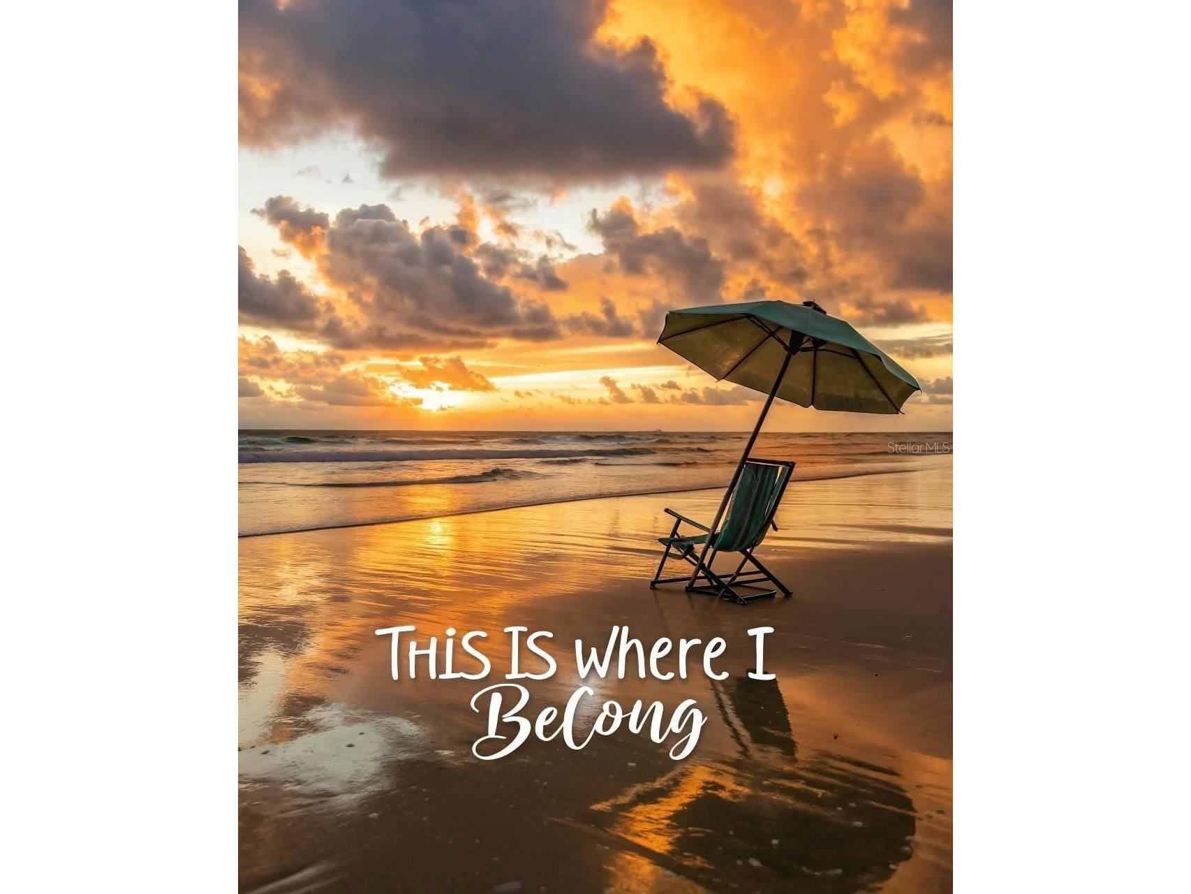 500 The Esplanade N #604 Venice FL 34285 - GULF / OCEAN C7523458 image56