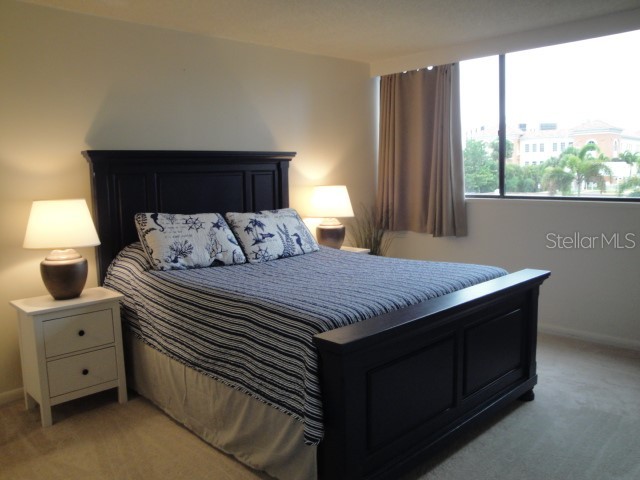 500 Treasure Island Causeway #202 Treasure Island FL 33706 TB8305559 image21