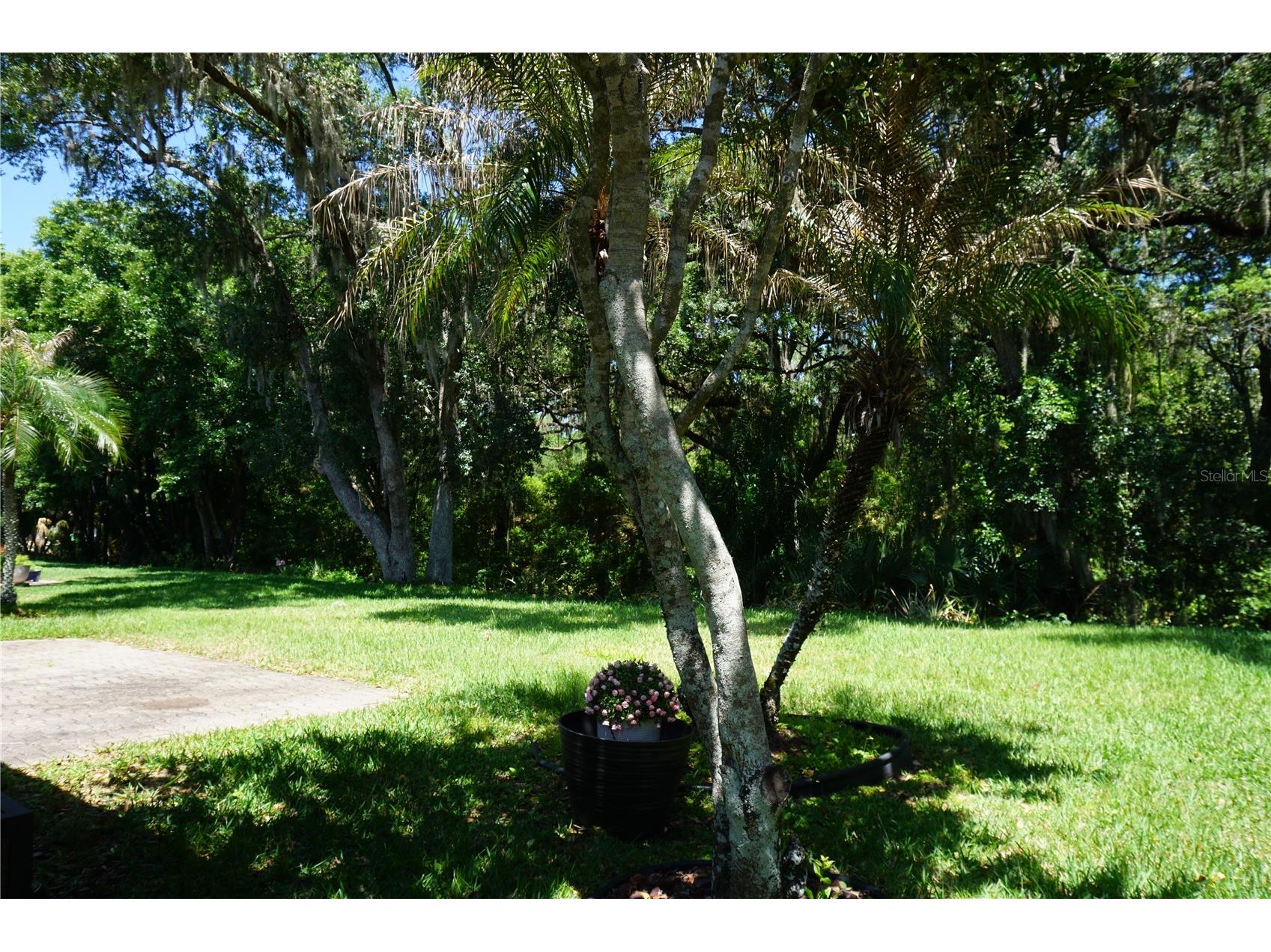 500 Vista Oaks Way Davenport FL 33837 S5147120 image16