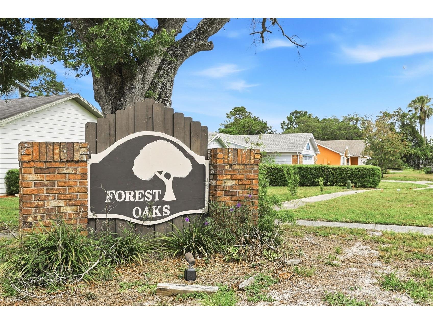 500 Withers Court Ocoee FL 34761 O6398965 image35