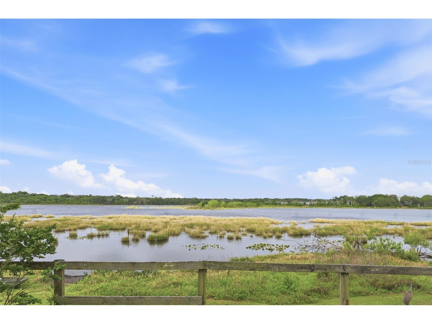 500 Withers Court Ocoee FL 34761 O6398965 image40