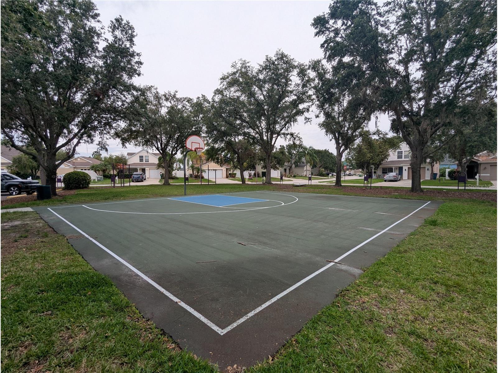 5000 Anclote River Street Wesley Chapel FL 33545 W7887292 image33