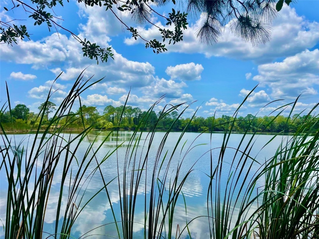 5000 Blounts Ridge Road Mims FL 32754 V4942602 image1